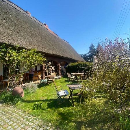 Fischerhaus Galenbeck Bed & Breakfast Eksteriør bilde