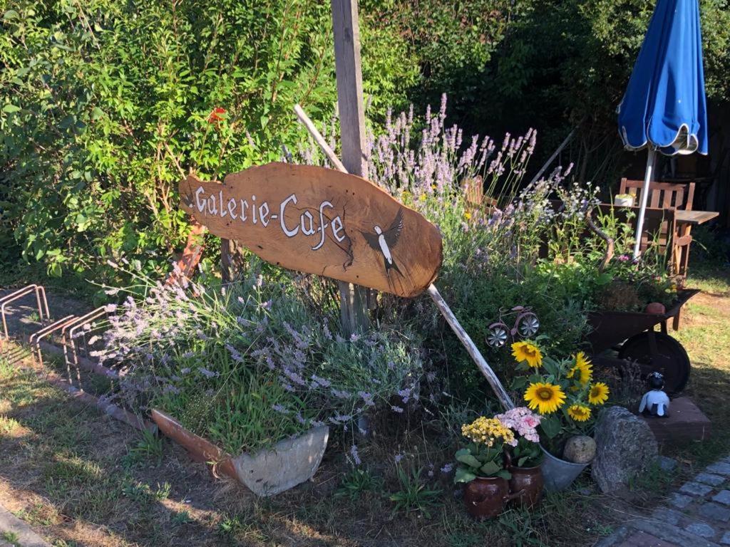 Fischerhaus Galenbeck Bed & Breakfast Eksteriør bilde