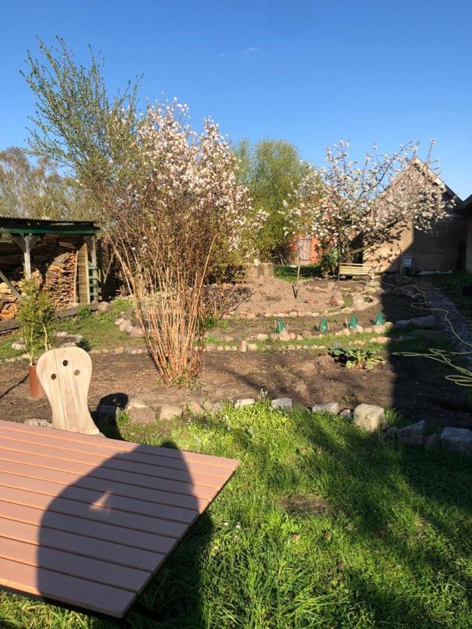 Fischerhaus Galenbeck Bed & Breakfast Eksteriør bilde